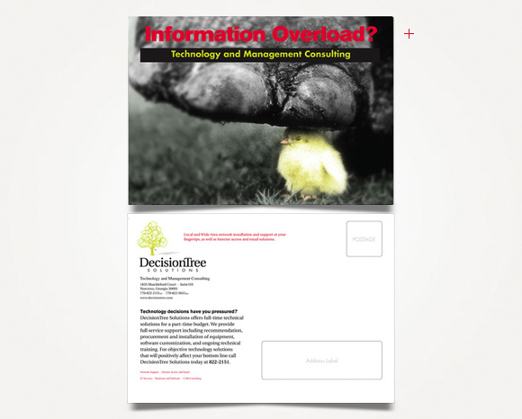 Print - DecisionTree Solutions, Inc. - Direct Mail Campaign