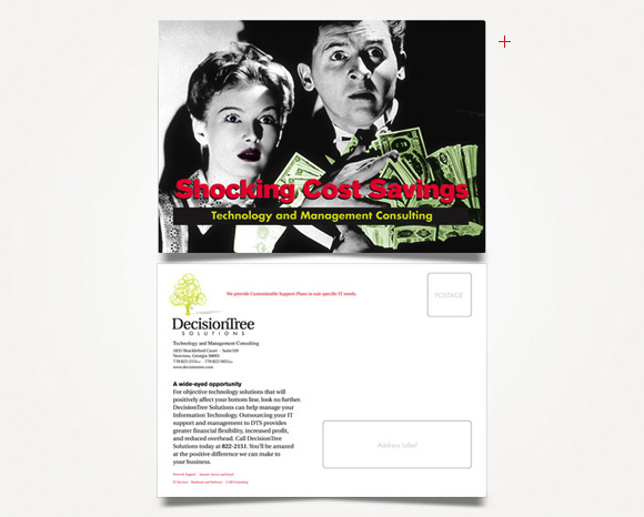 Print - DecisionTree Solutions, Inc. - Direct Mail Campaign